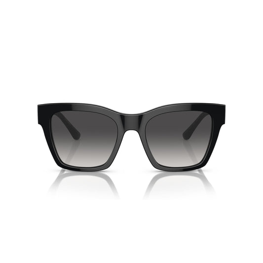 DG4384 501/8G 53-20 photo