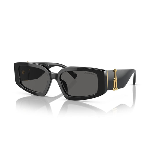 TF4208U 8001/S4 54-17 photo