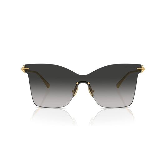 TF3103-K 6211/3C 43 photo