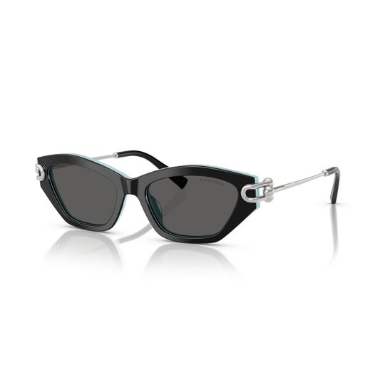 TF4231-U 8055/S4 53-17 photo