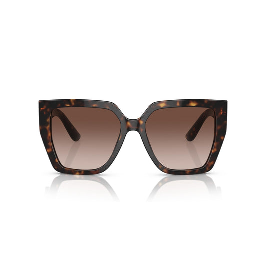 DG4438 502/13 55-17 photo