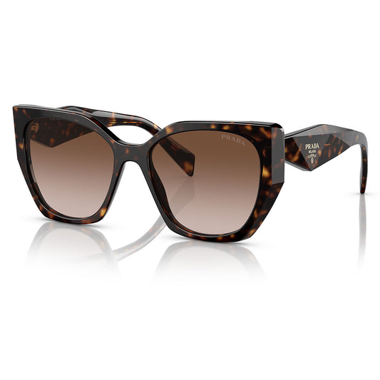 SPR 19Z 2AU-6S1 55-17 photo