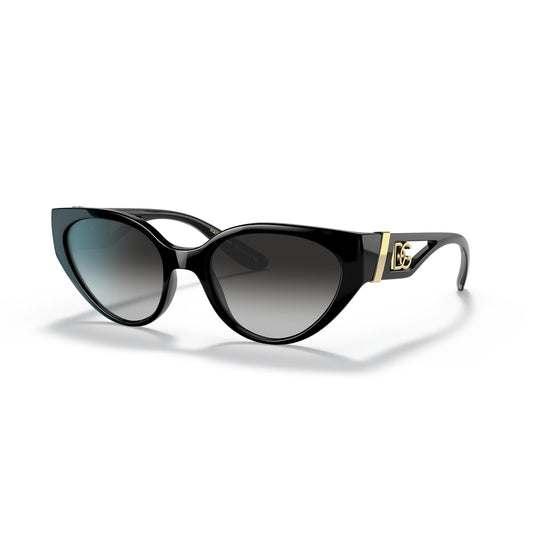 DG6146 501/8G 54-19 photo