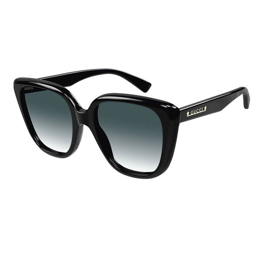 GG1169S 002 54-20 photo