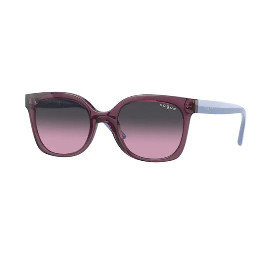 VJ2009 2420/90 45-17 photo