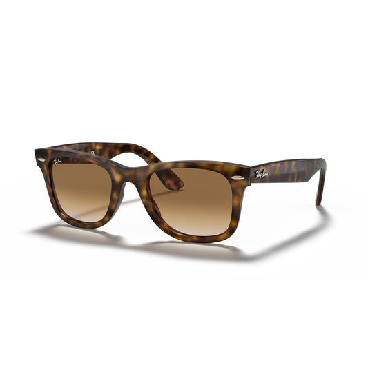 RB4340 710/51 50-22 Wayfarer photo