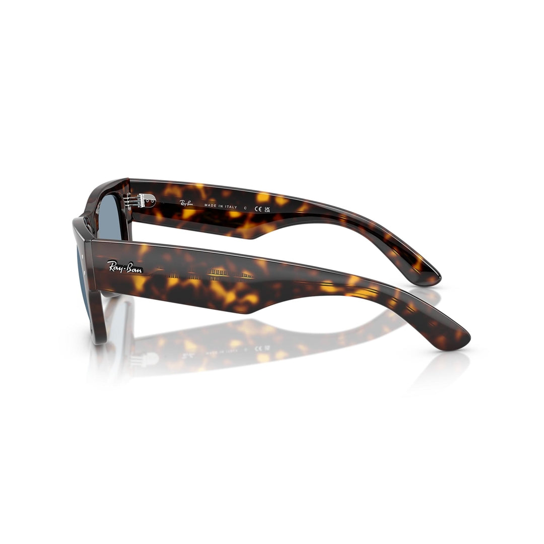 RB0840-S 902/56 51-21 Mega Wayfarer photo