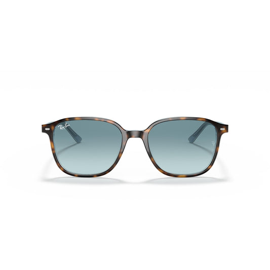 RB2193 1316/3M 53-18 Leonard photo