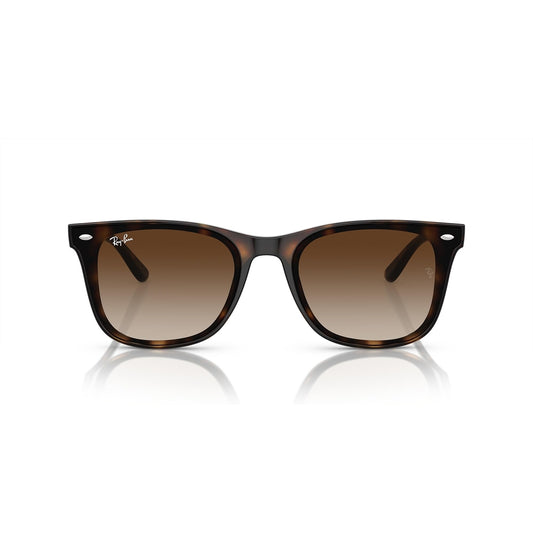 RB4420 710/13 65-18 photo