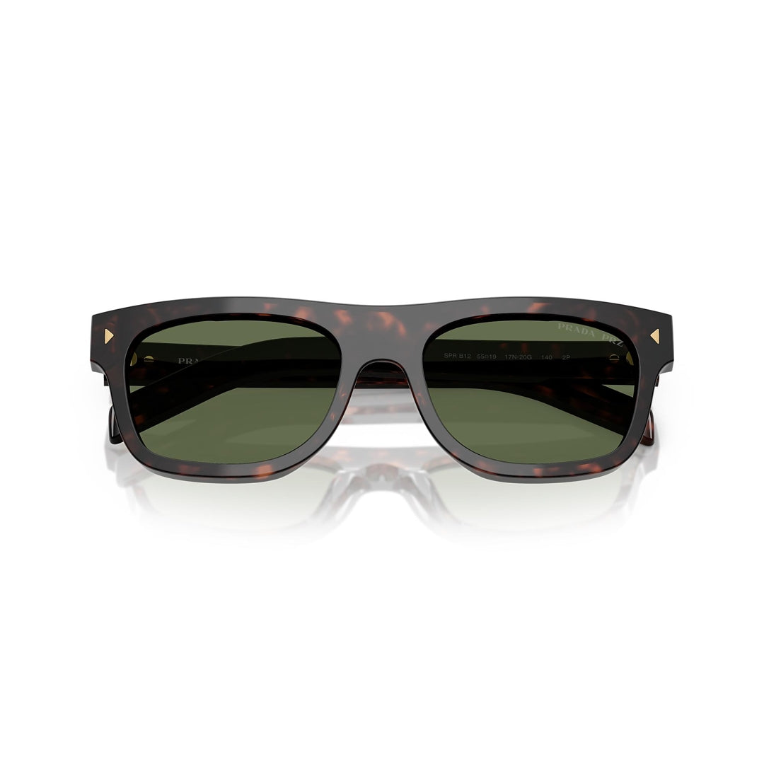 SPR B12 17N-20G 55-19 photo