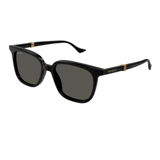 GG1493S 001 54-18 photo