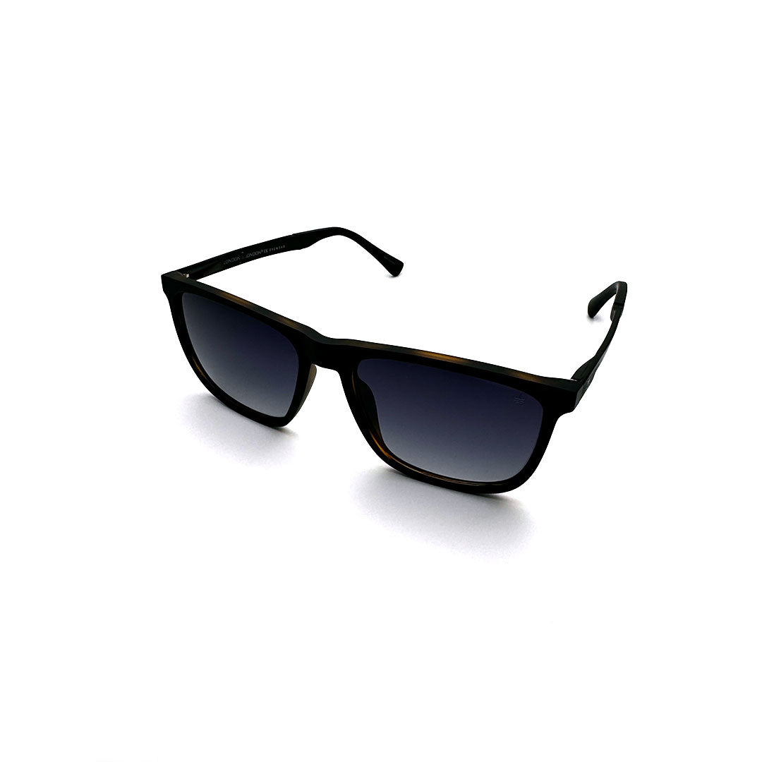 LL1192 C2 59-18 photo