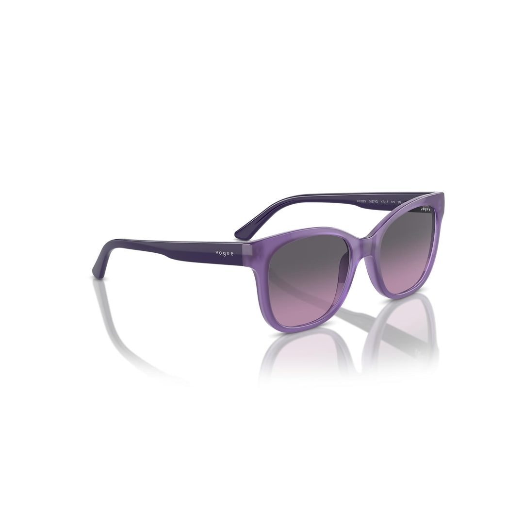 VJ2023 3127/4Q 47-17 photo