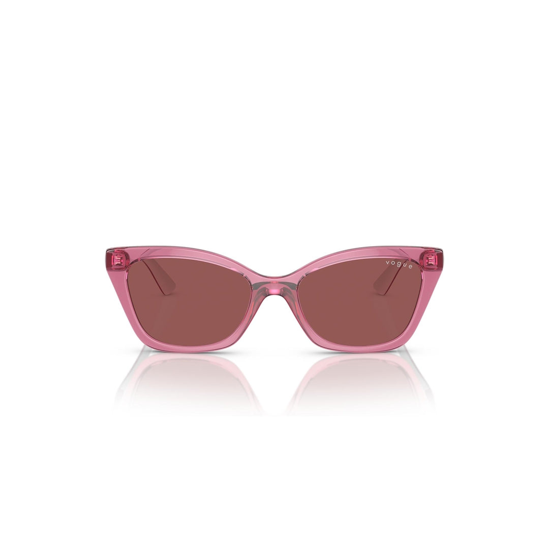 VJ2020 306569 48-16 photo