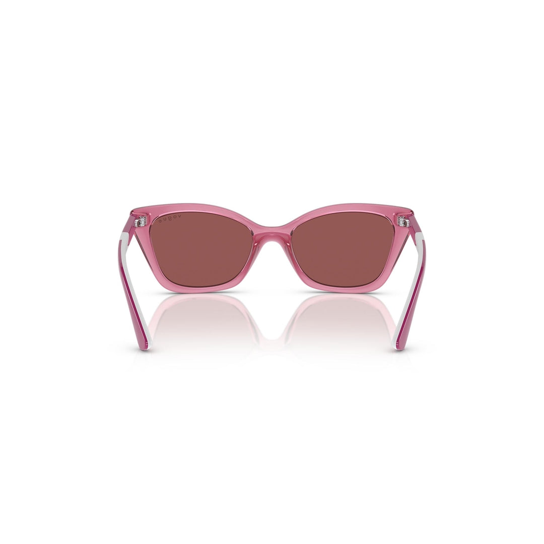 VJ2020 306569 48-16 photo