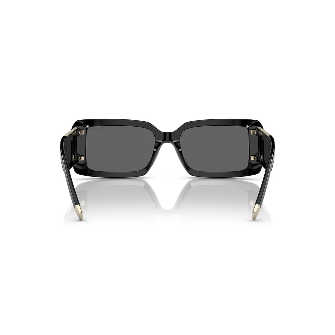 TF4197 8001/S4 62-17 photo