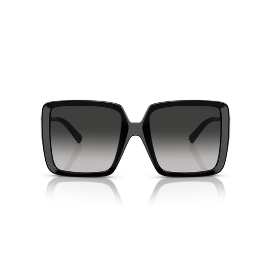 TF4212U 8001/3C 55-19 photo