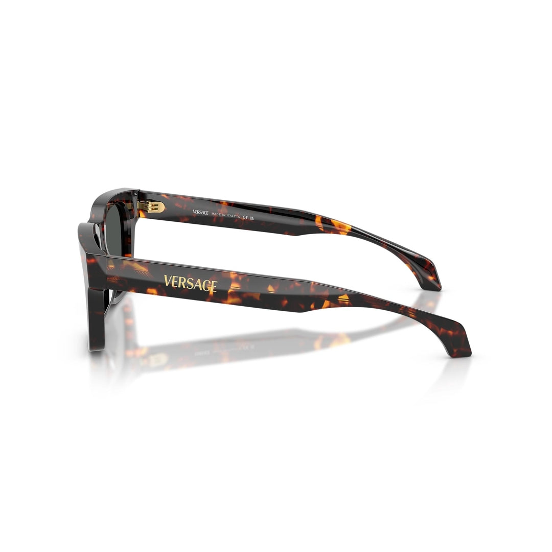 VE4486 5509/87 52-19 photo