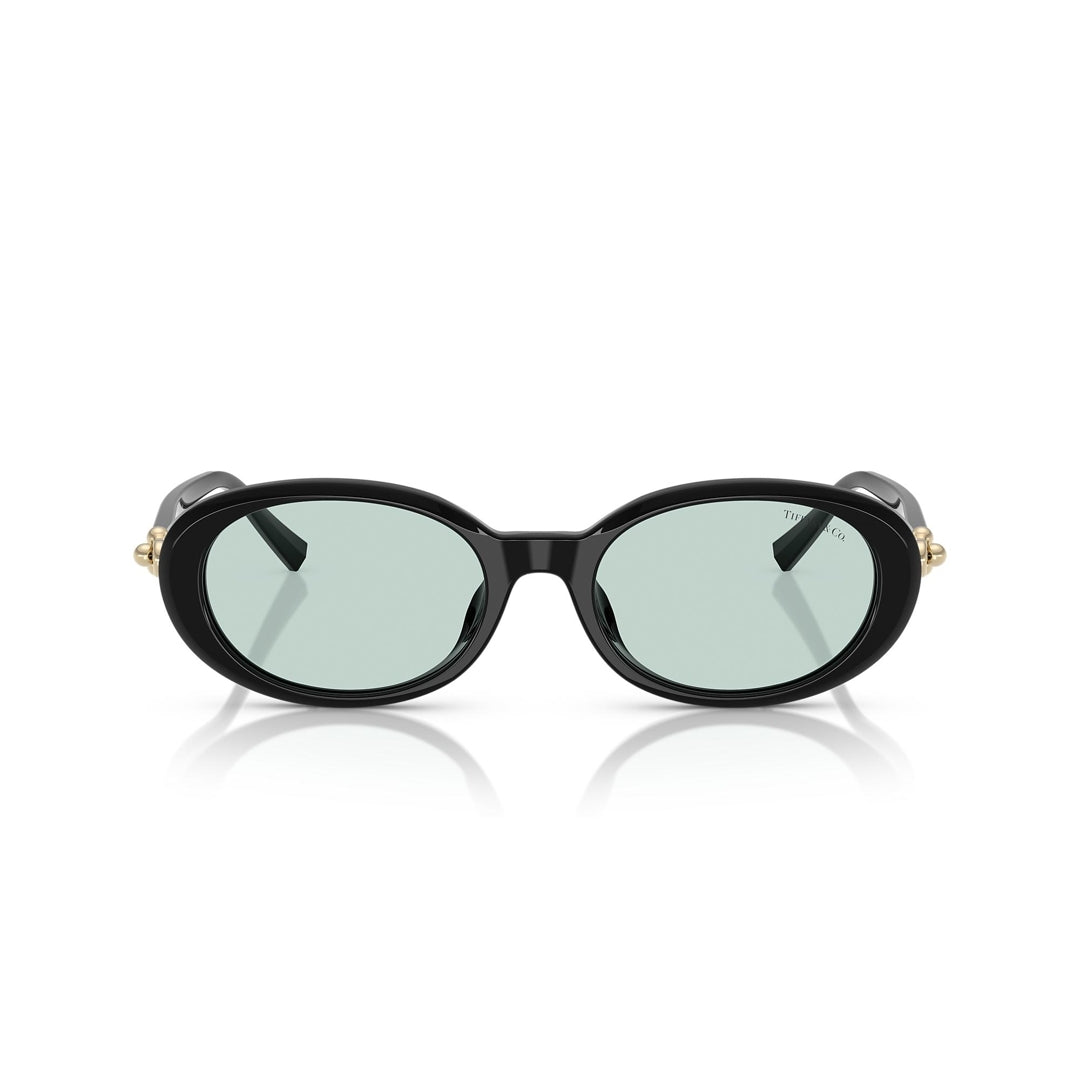 TF4242-D 8001/D9 54-19 photo