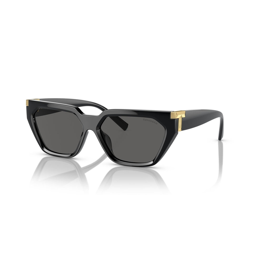 TF4205U 8001/S4 56-14 photo