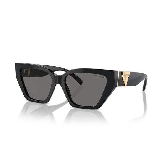 TF4218 8001/81 55-17 photo