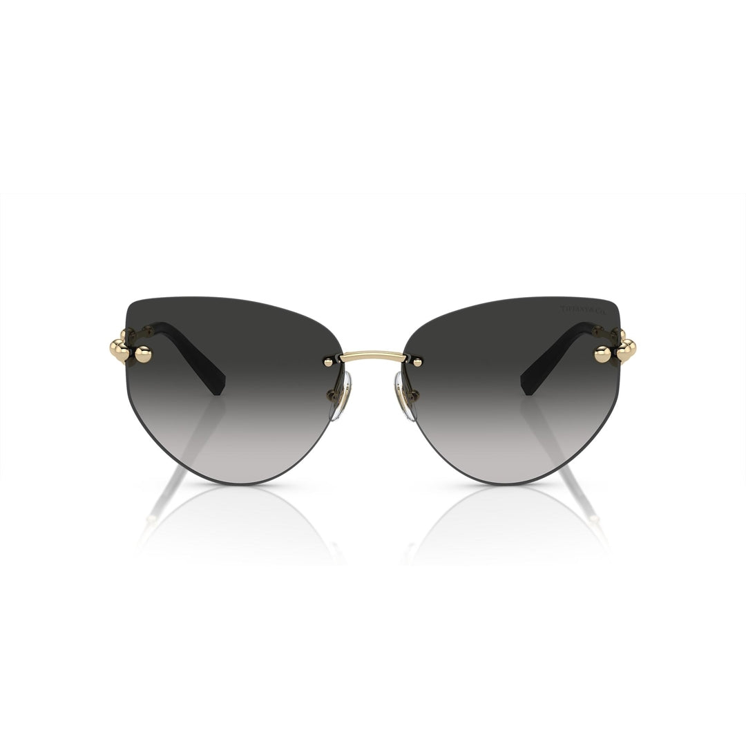 TF3096 6021/3C 60-15 photo