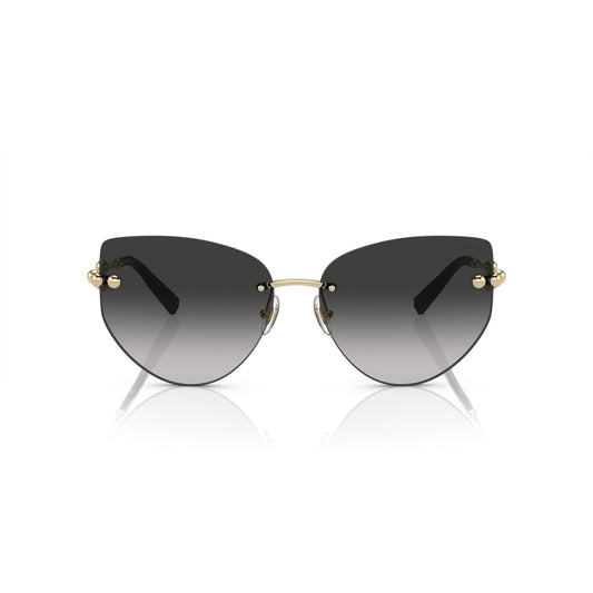 TF3096 6021/3C 60-15 photo