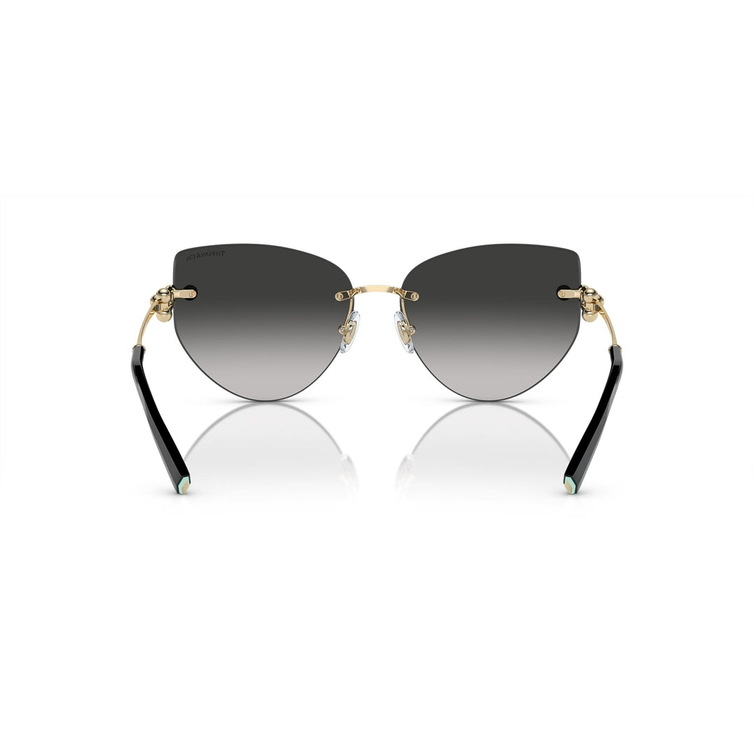 TF3096 6021/3C 60-15 photo