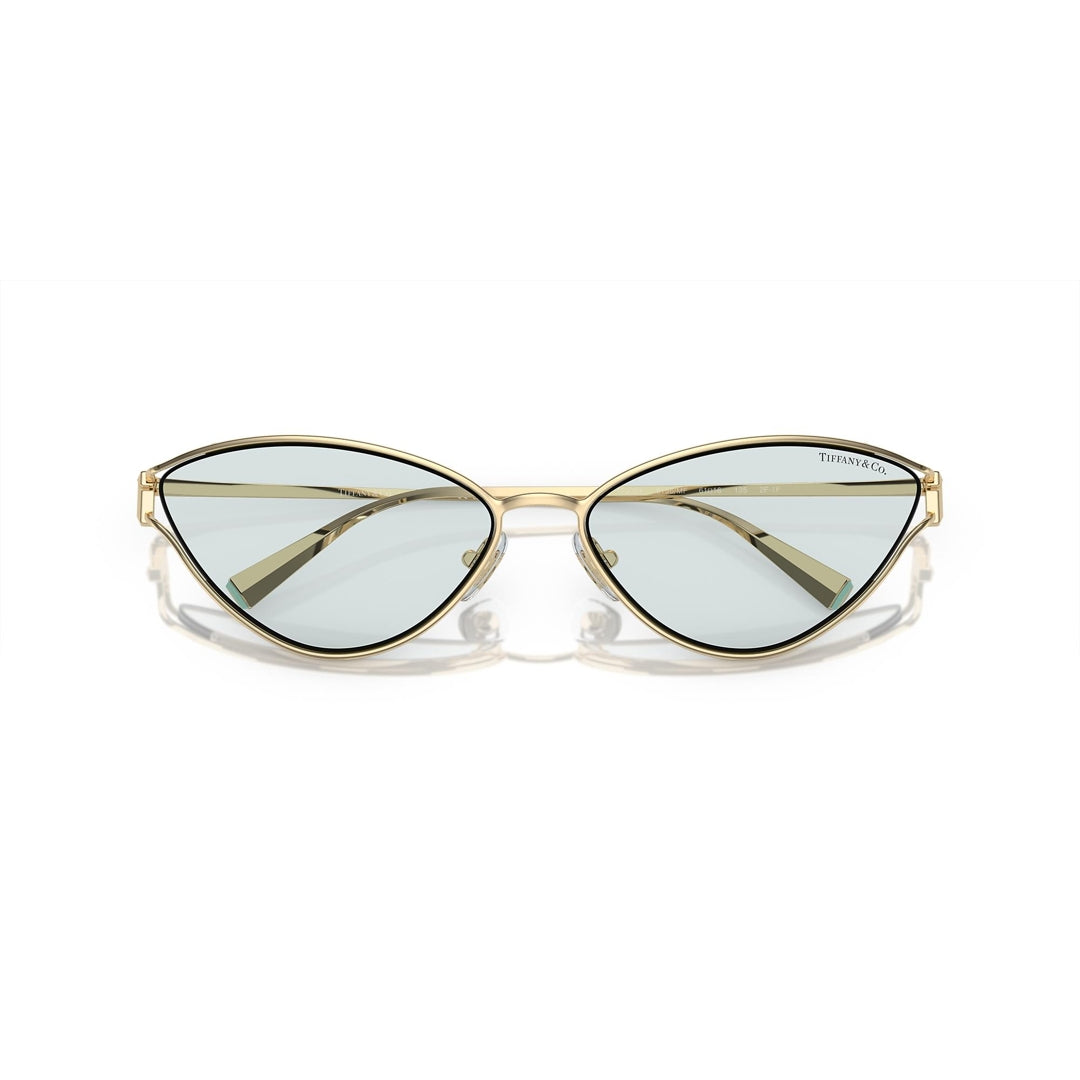 TF3095 6196/MF 61-16 photo