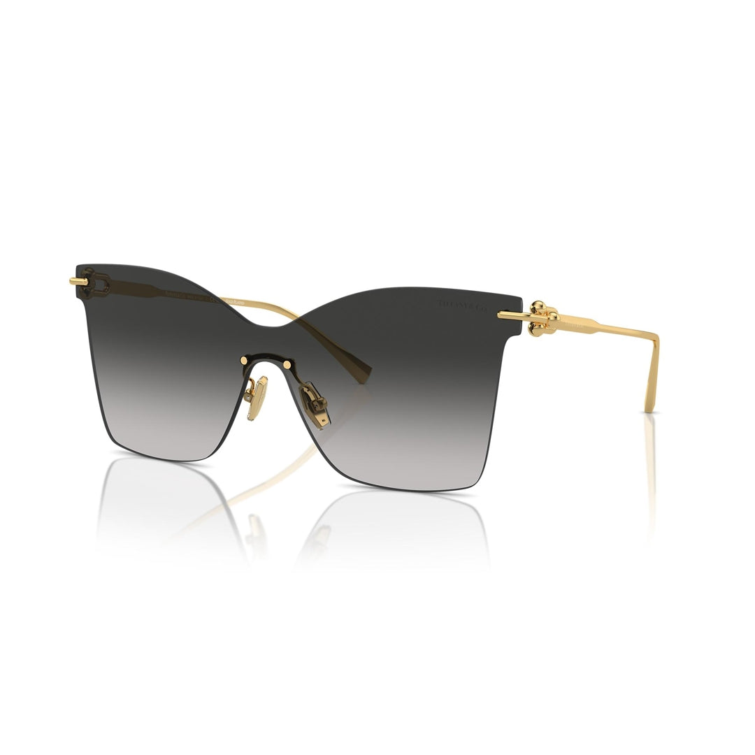 TF3103-K 6211/3C 43 photo