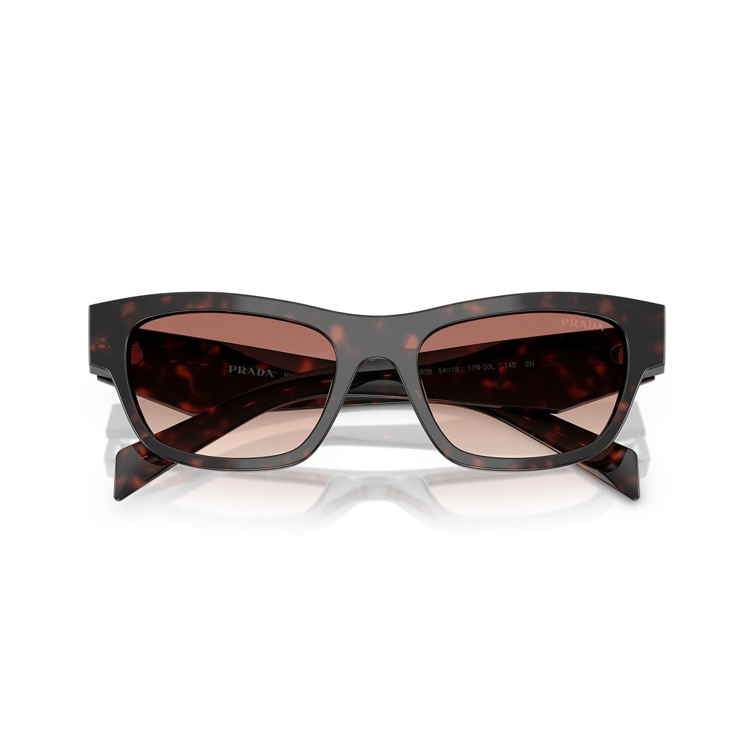 SPR B09 17N-50L 52-19 photo