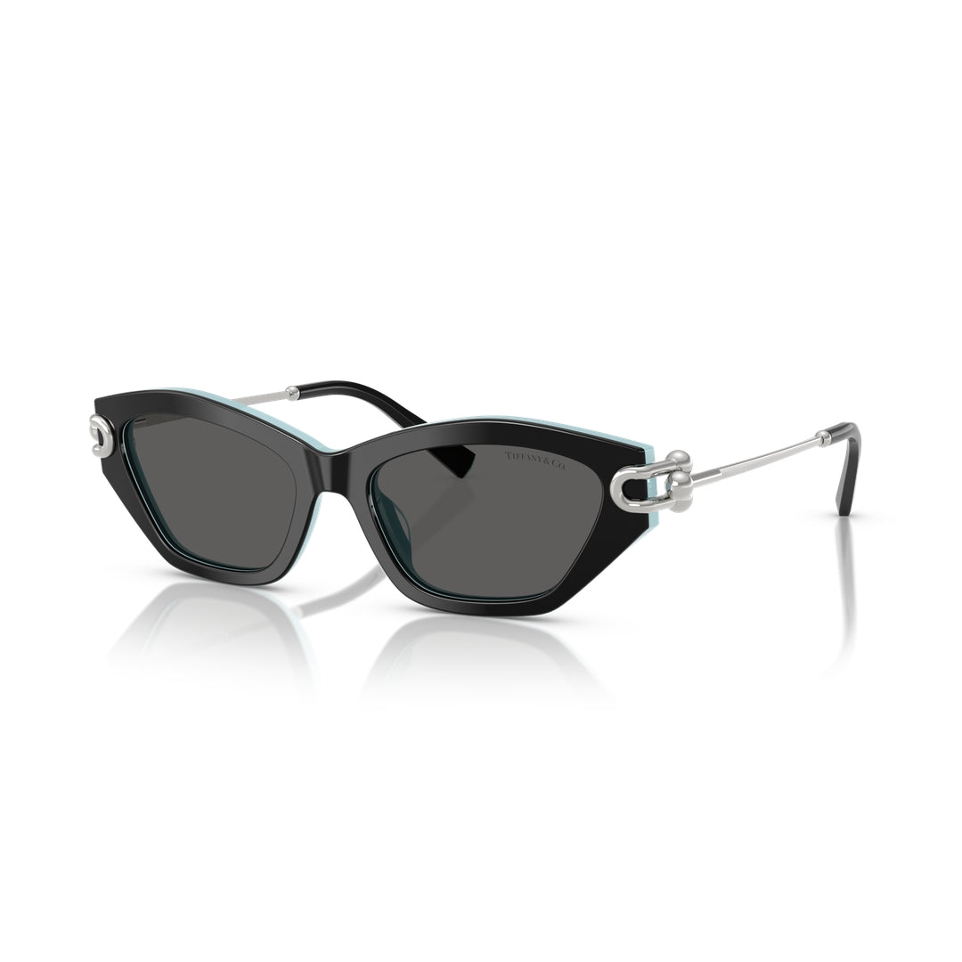 TF4231-U 8055/S4 53-17 photo