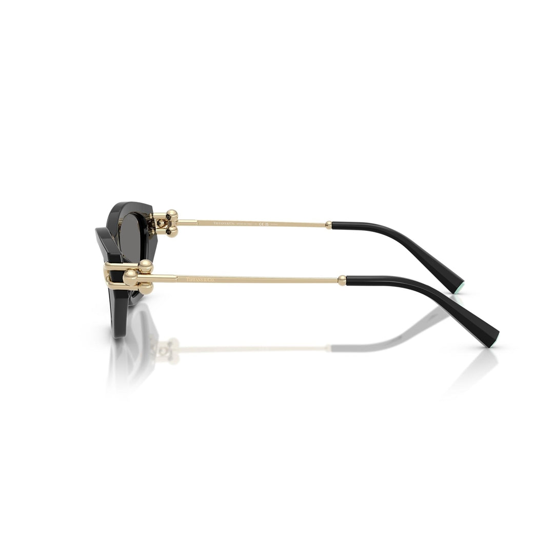 TF4231-U 8001/81 53-17 photo