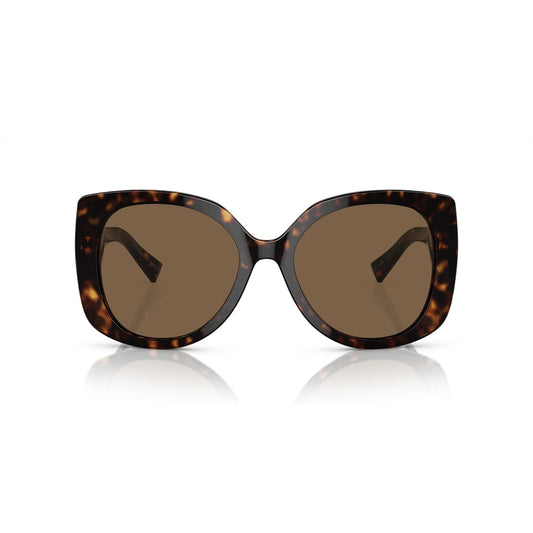 VE4387 108/73 56-19 photo