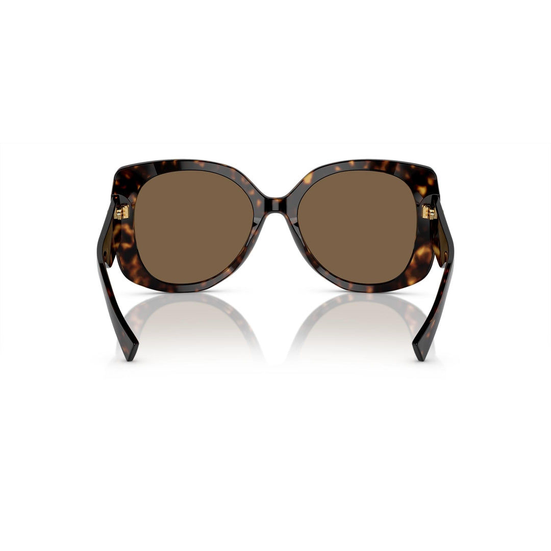 VE4387 108/73 56-19 photo