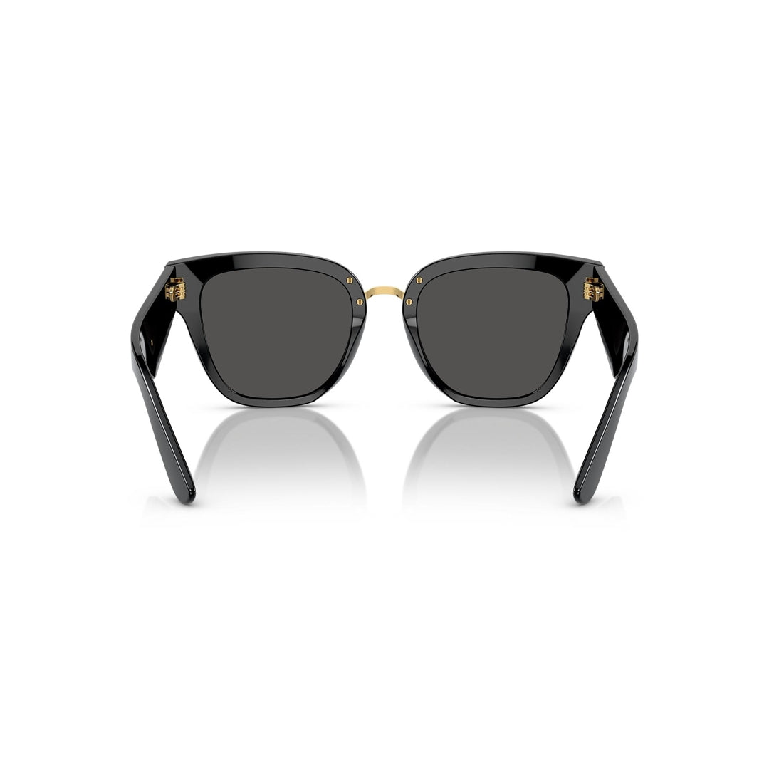 DG4437 501/87 51-20 photo