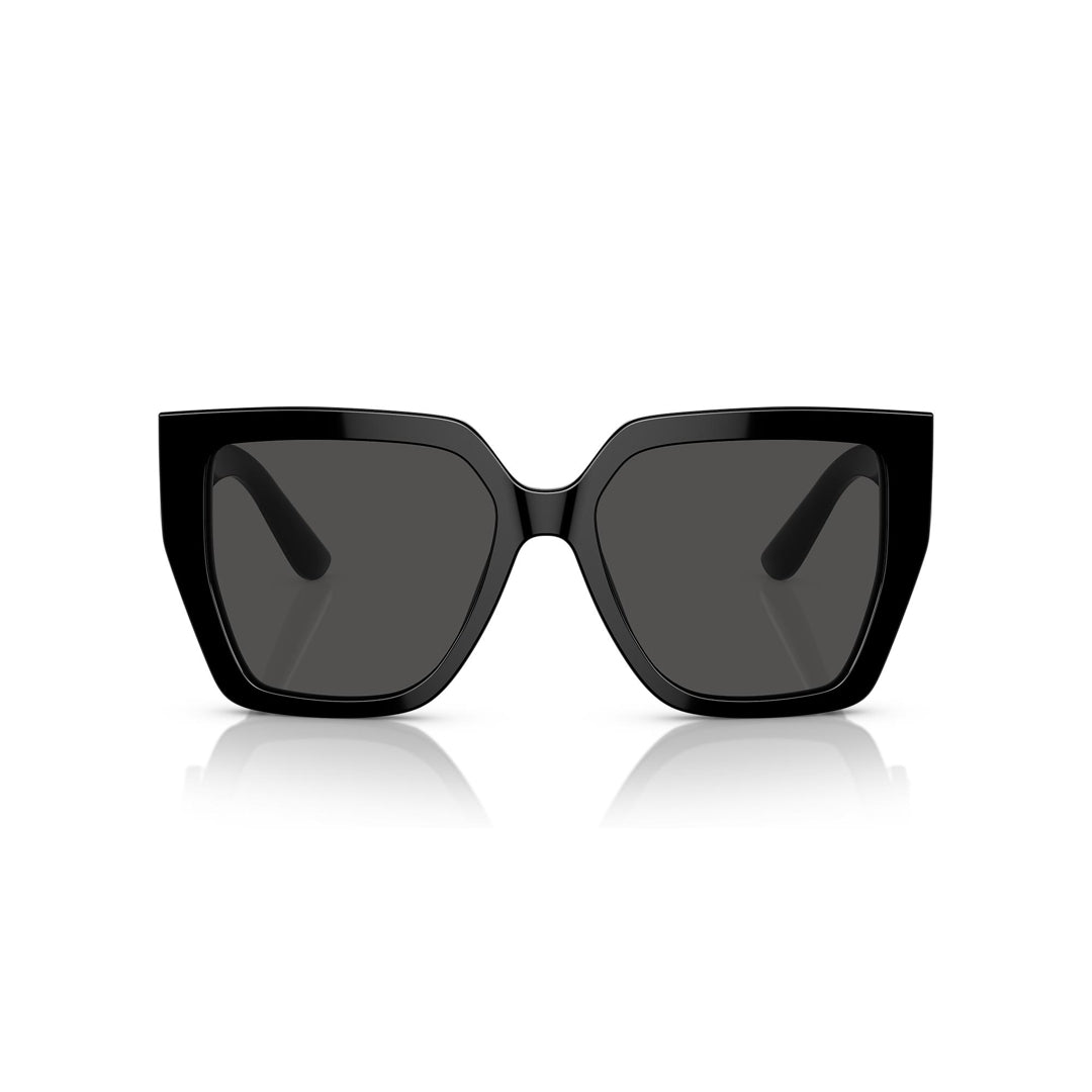 DG4438 501/87 55-17 photo