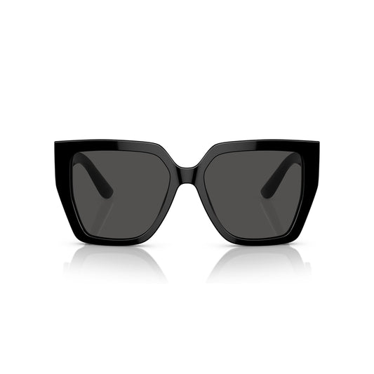 DG4438 501/87 55-17 photo