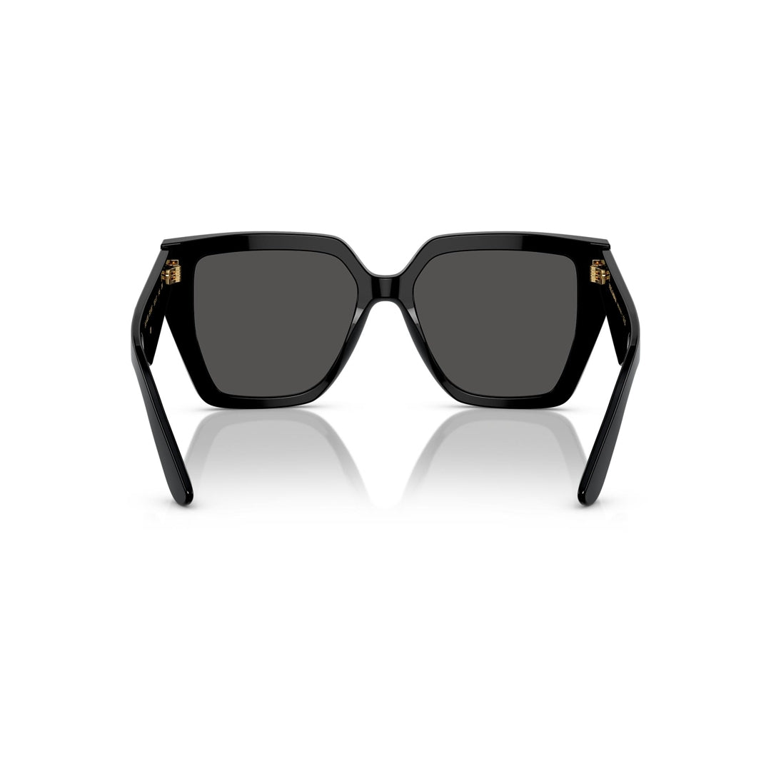 DG4438 501/87 55-17 photo