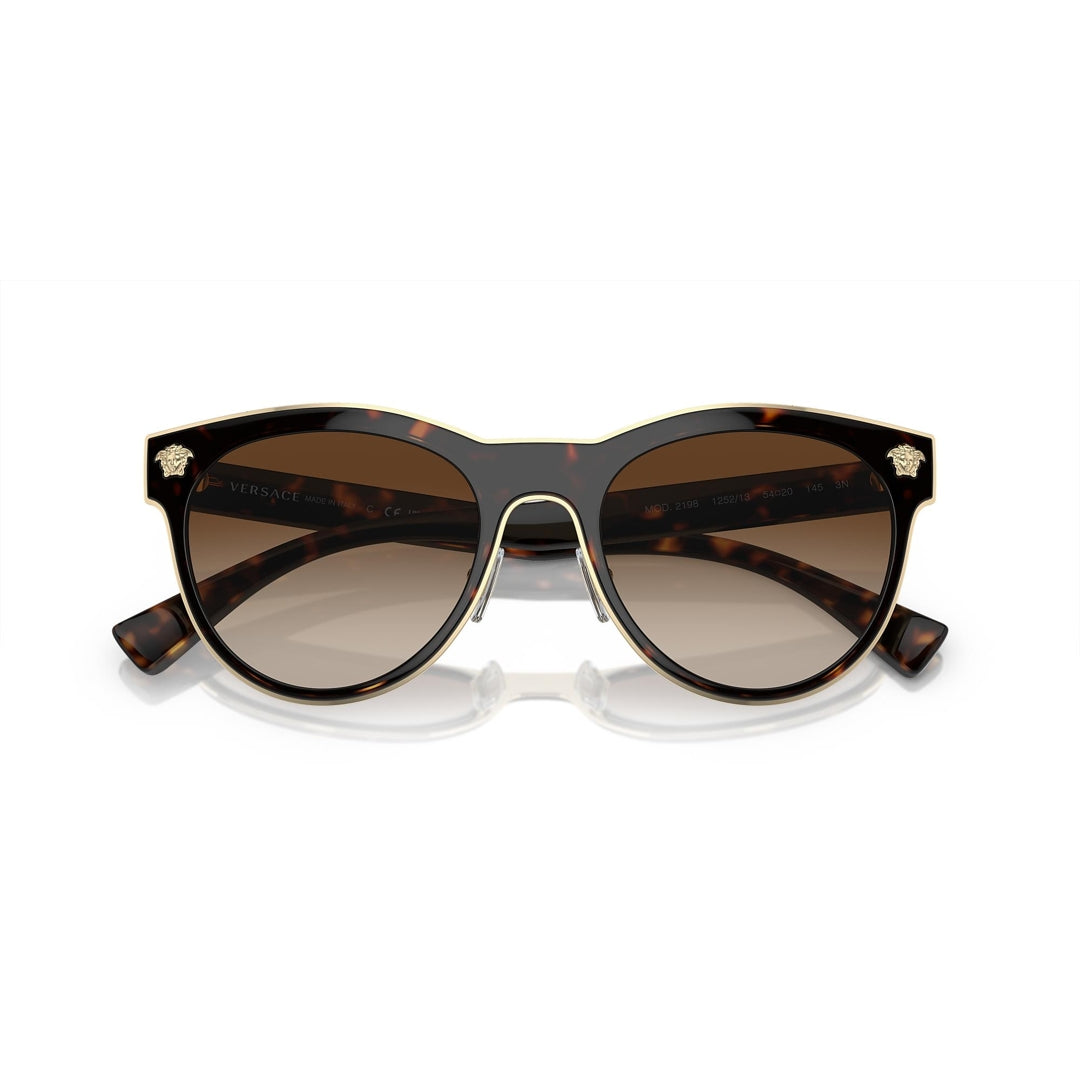 VE2198 1252/13 54-20 photo