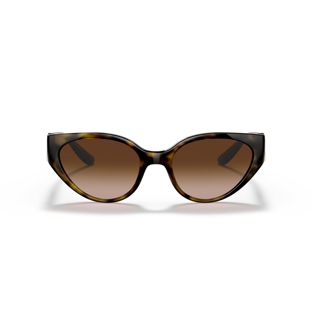 DG6146 502/13 54-19 photo