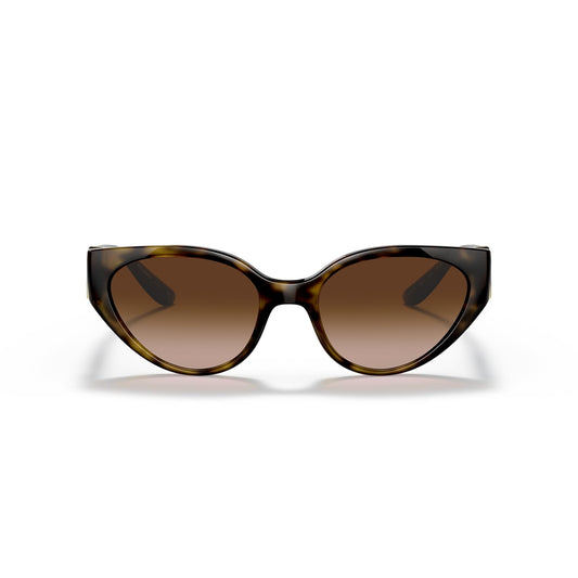 DG6146 502/13 54-19 photo