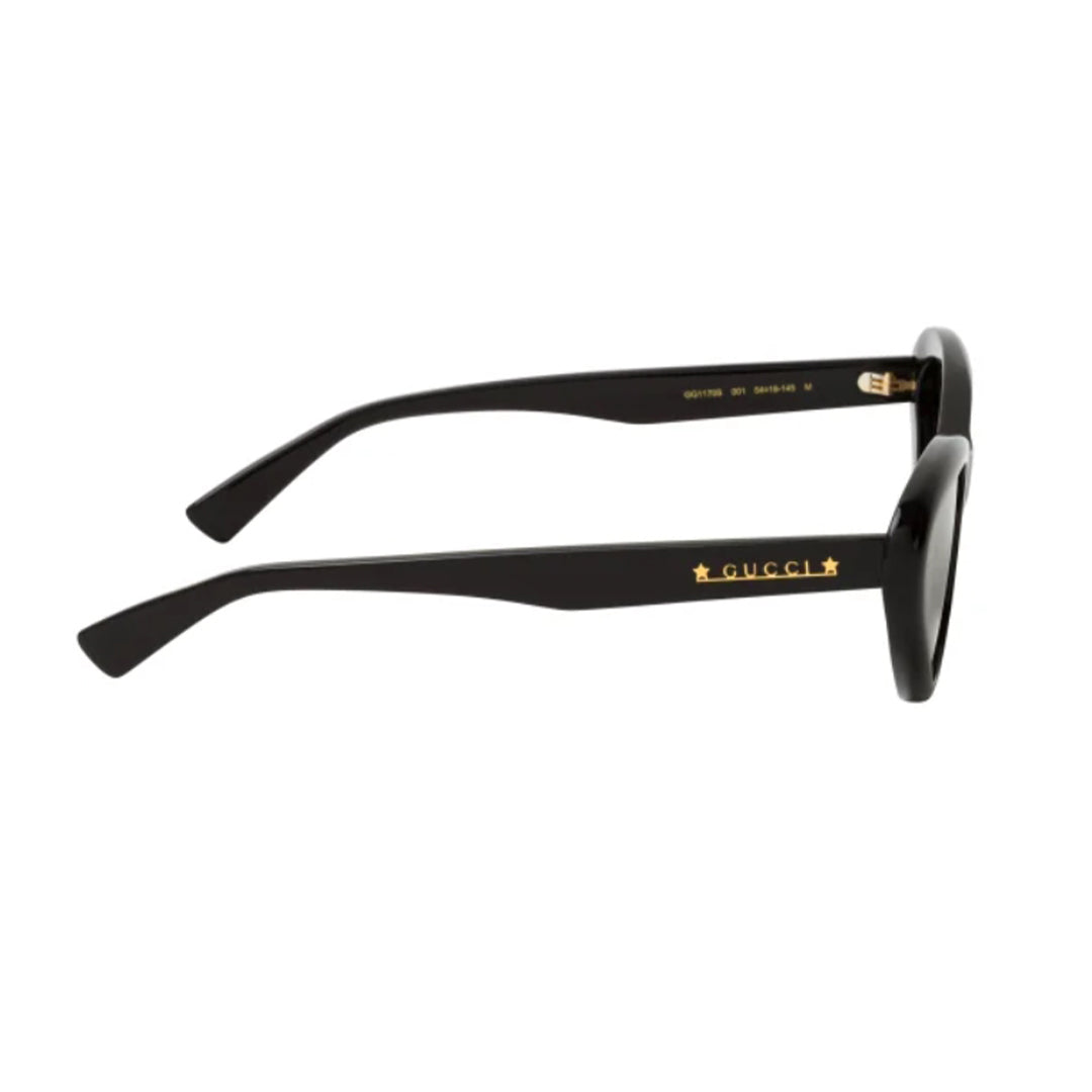 GG1170S 001 54-19 photo