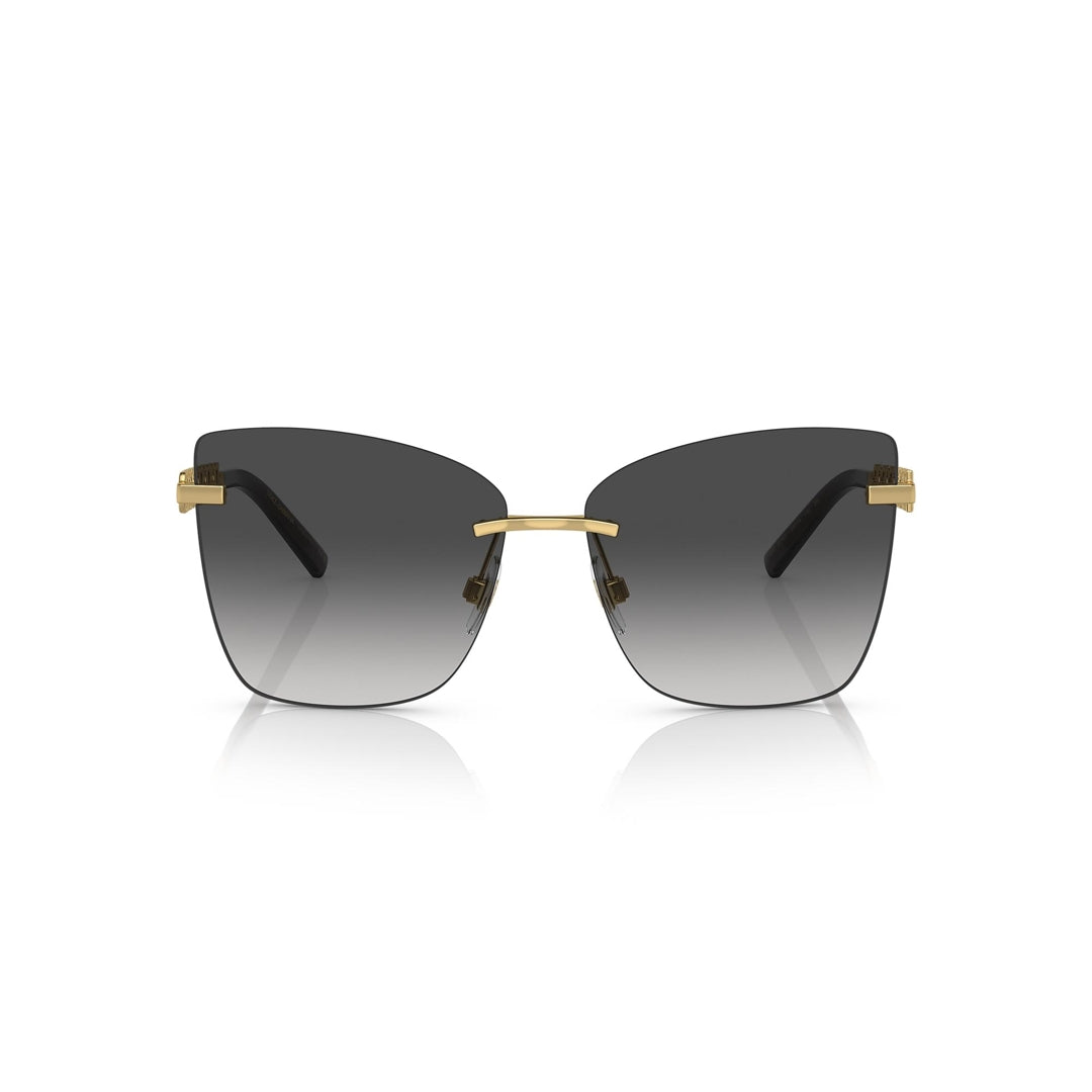 DG2289 02/8G 59-14 photo