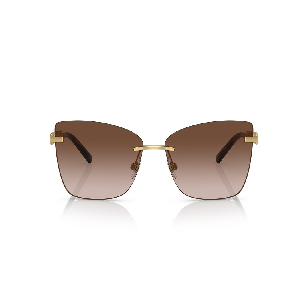 DG2289 02/13 59-14 photo