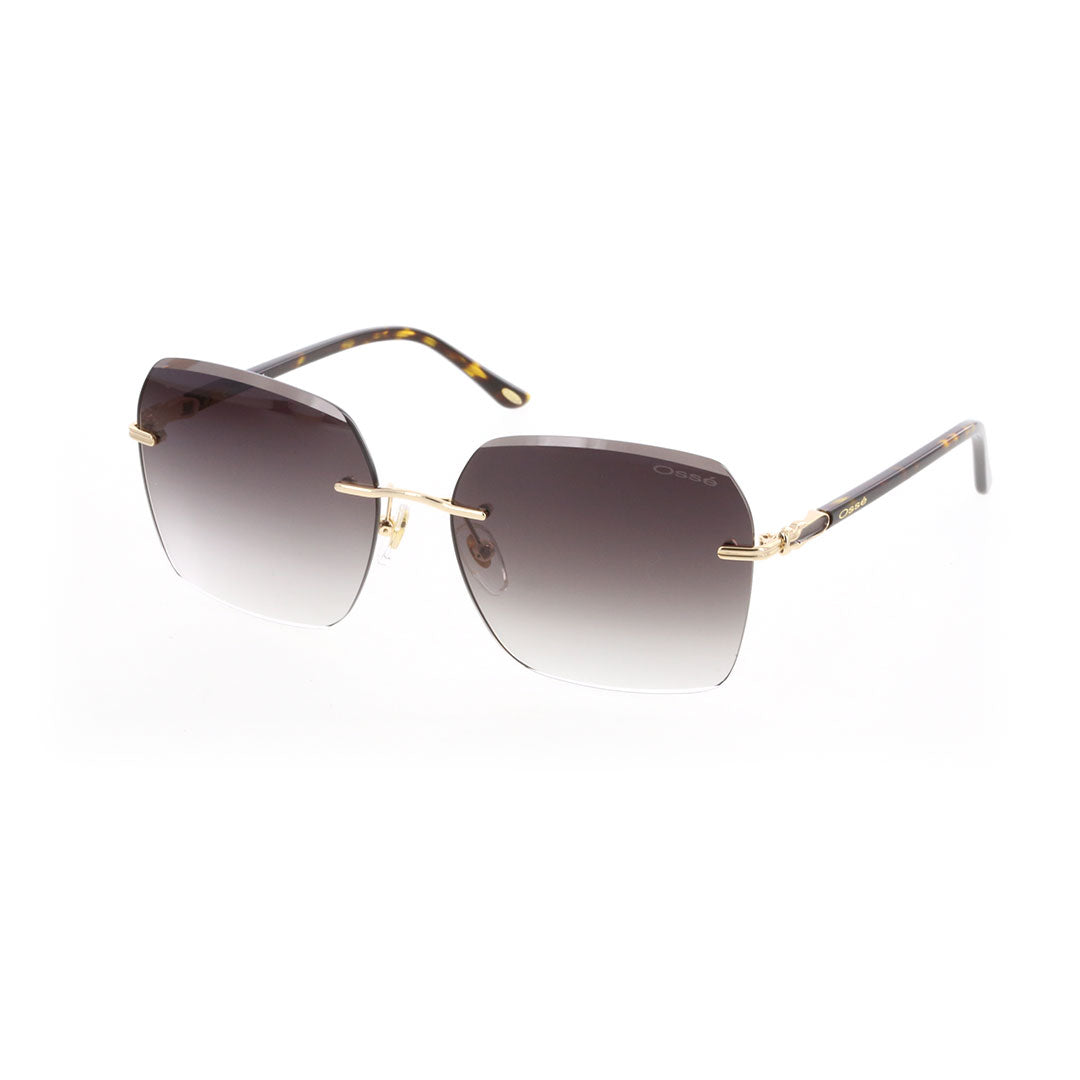 OS3582 C3 60-16 photo