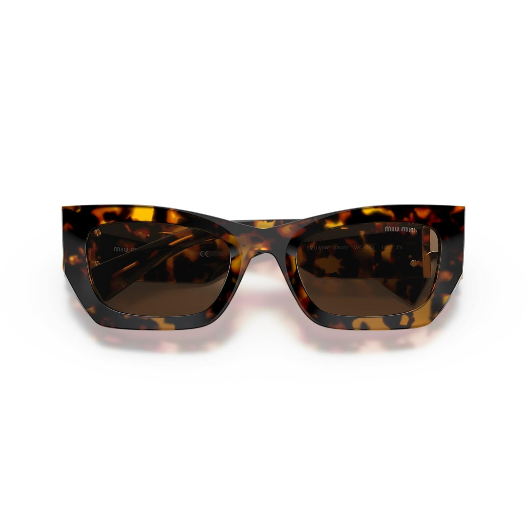 SMU 09W VAU-06B 53-22 photo