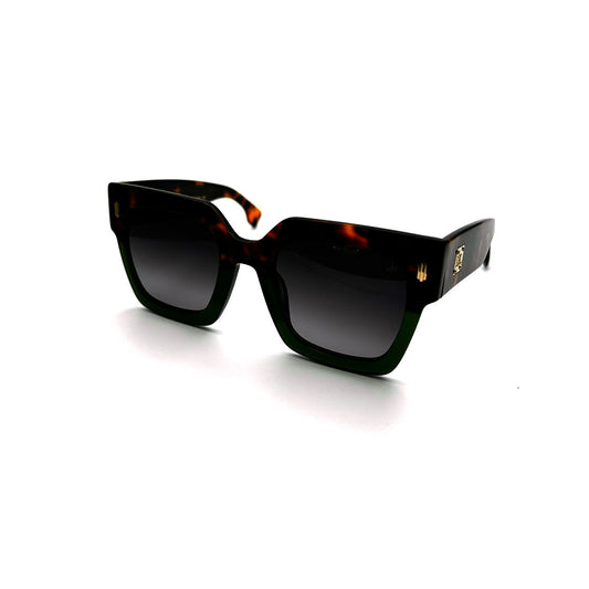 LL1185 C1 51-24 photo