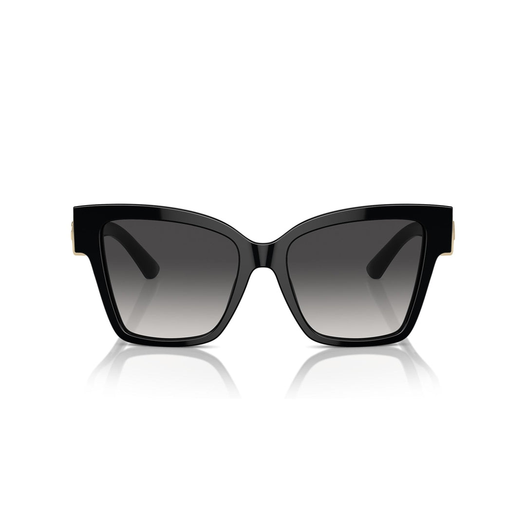 DG4470 501/8G 54-17 photo