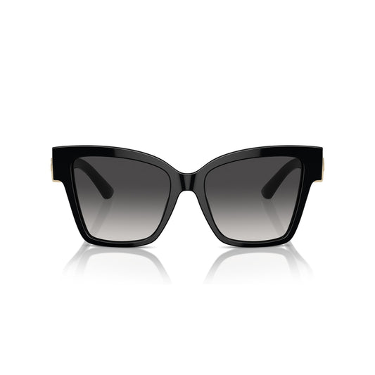 DG4470 501/8G 54-17 photo